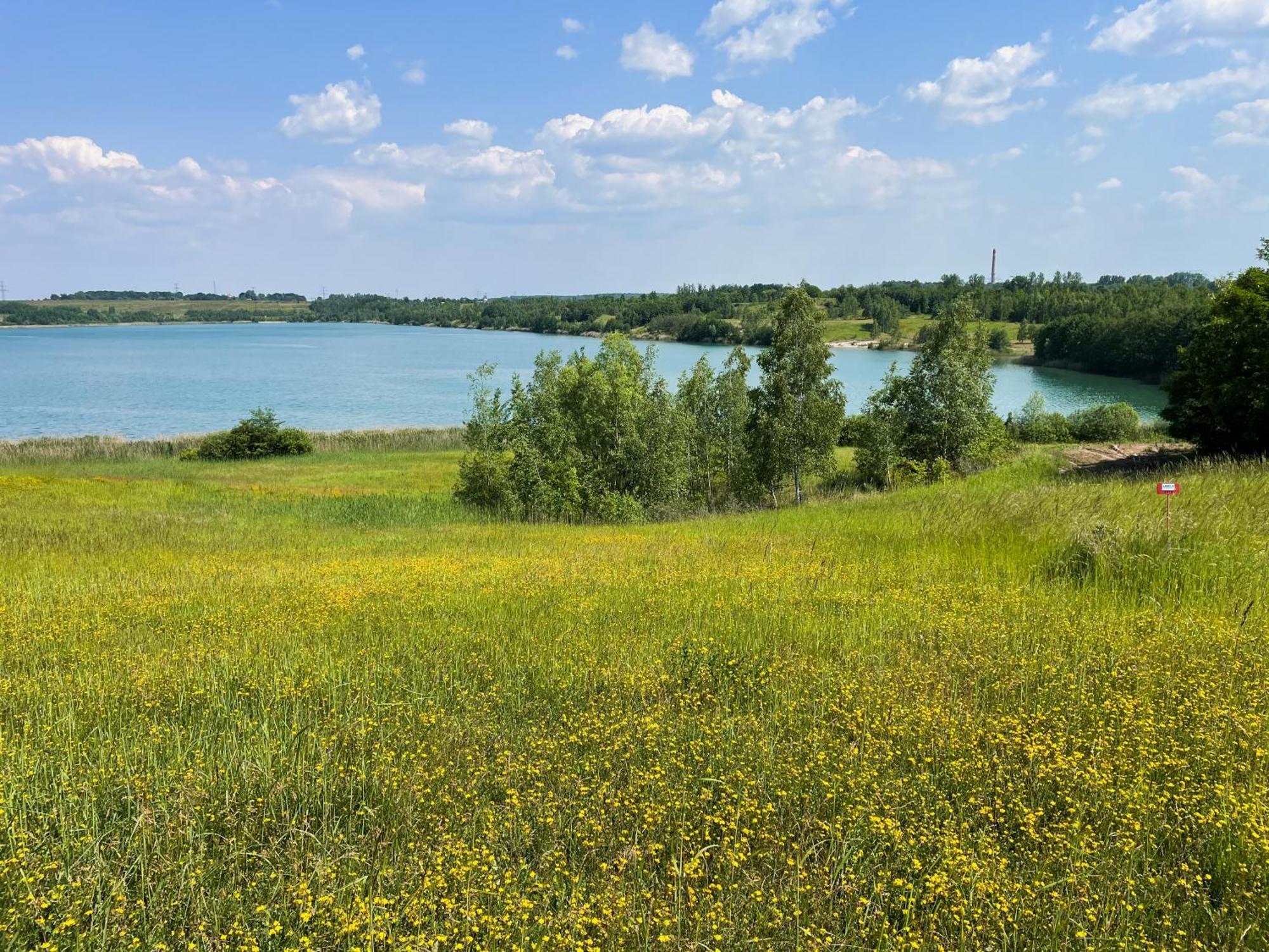 Haus Im Schilf 2 - Ferienwohnungen Am Hainer See Bei Leipzig Neukieritzsch ภายนอก รูปภาพ