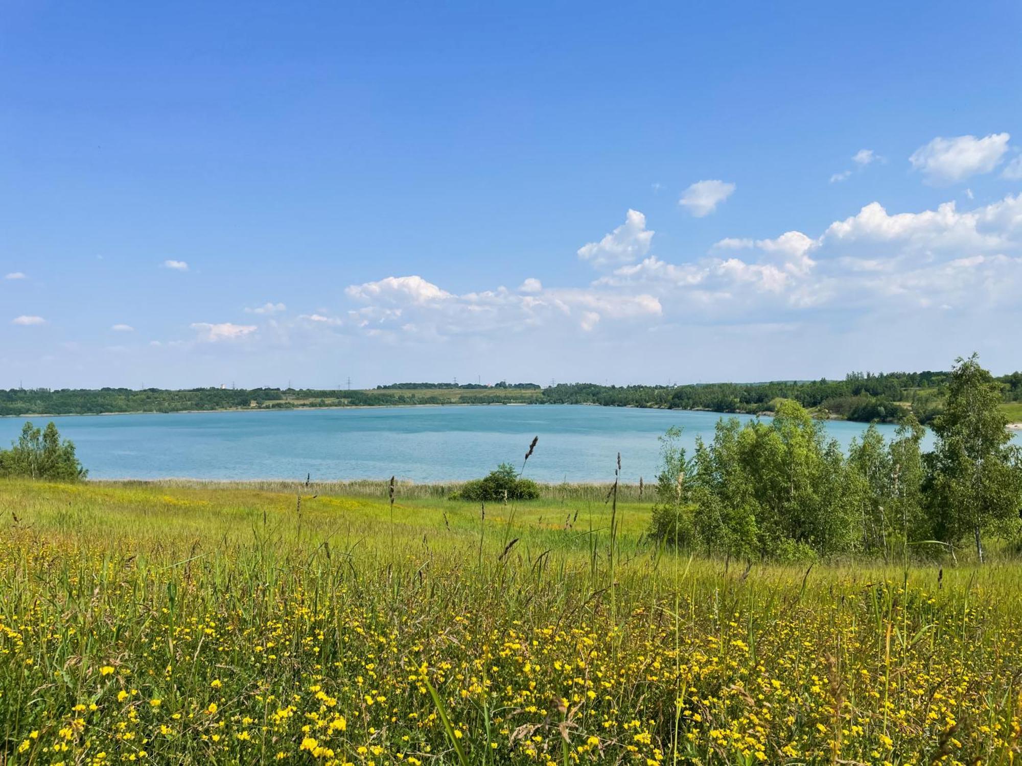 Haus Im Schilf 2 - Ferienwohnungen Am Hainer See Bei Leipzig Neukieritzsch ภายนอก รูปภาพ