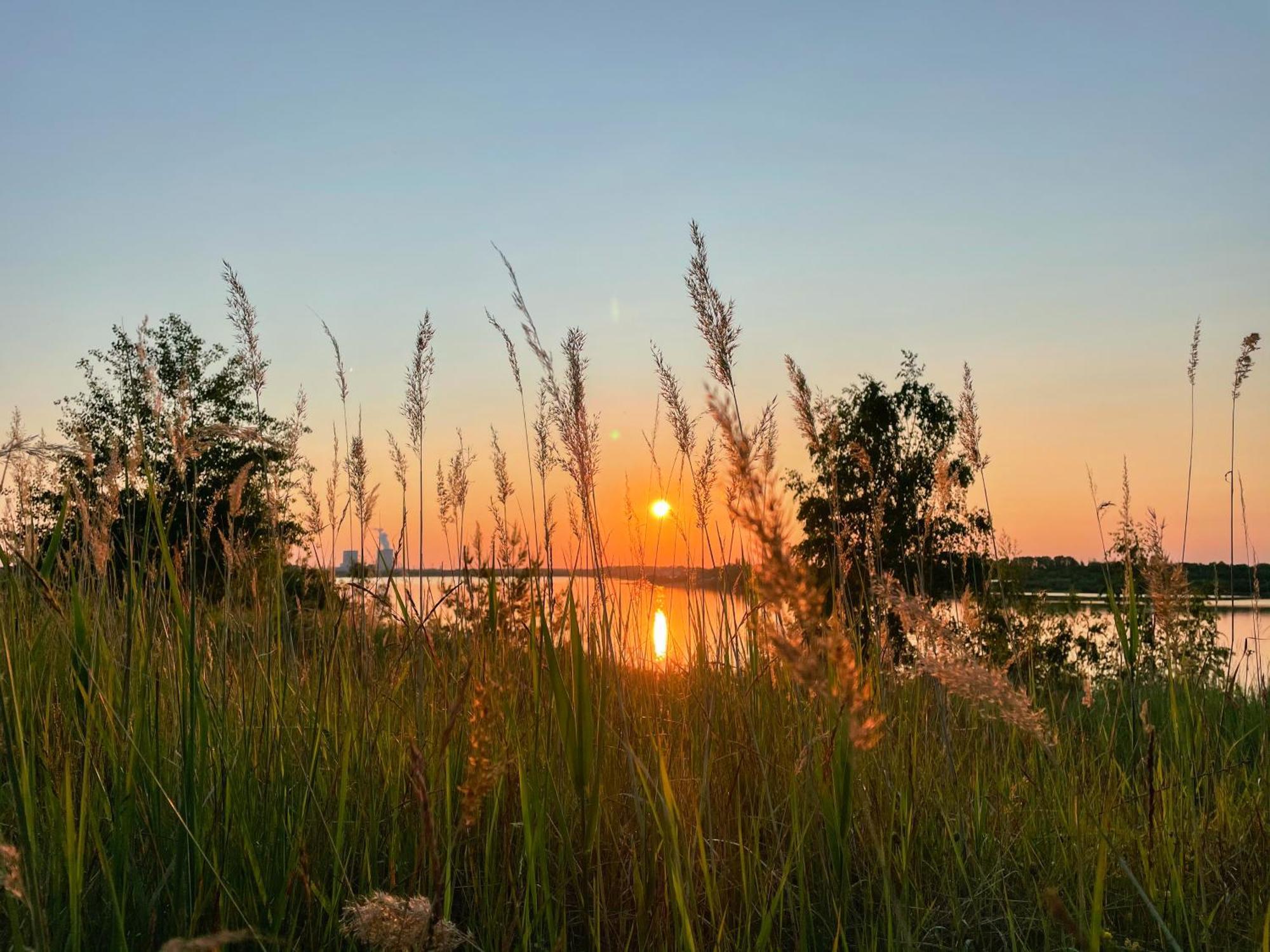 Haus Im Schilf 2 - Ferienwohnungen Am Hainer See Bei Leipzig Neukieritzsch ภายนอก รูปภาพ